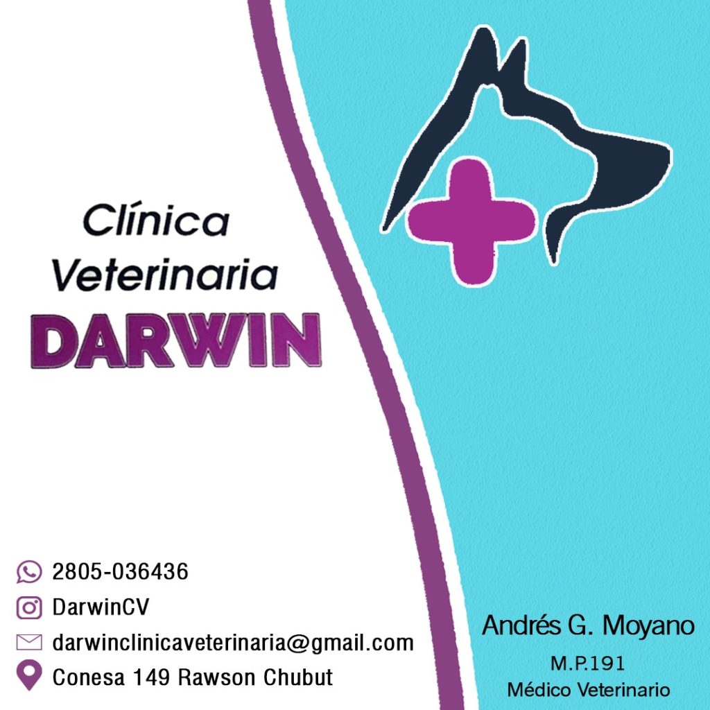 darwin clinica veterinaria