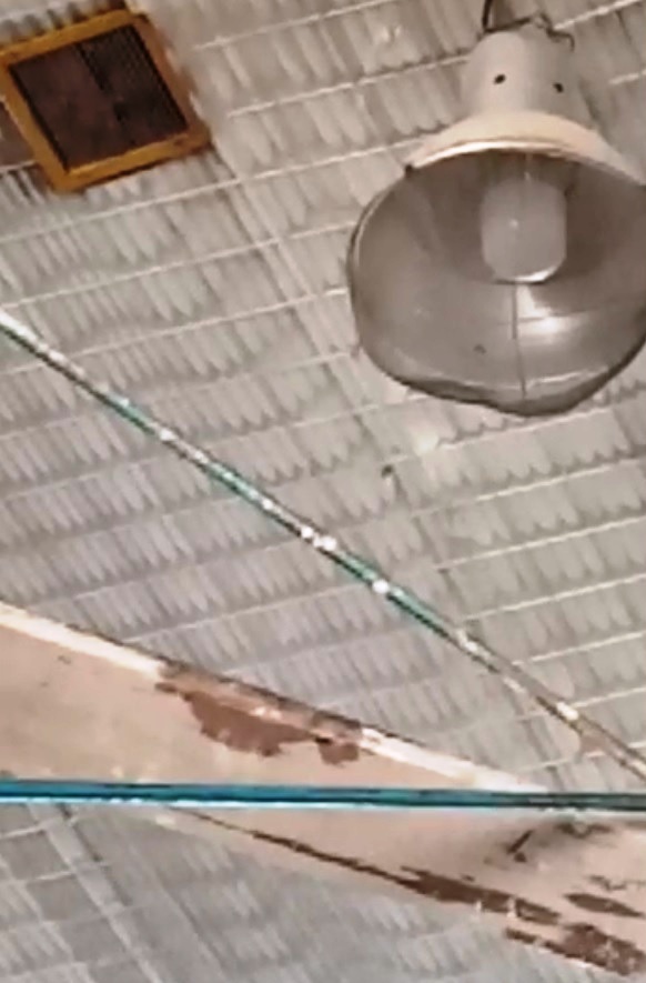 Graves deficiencias padece el edificio de la Escuela Politécnica 702