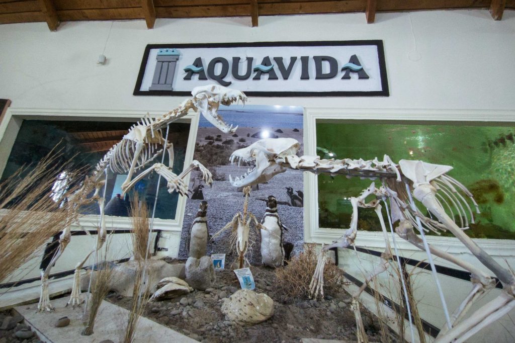 Actividades de Verano en el Centro de Interpretación de Biodiversidad de Playa Unión