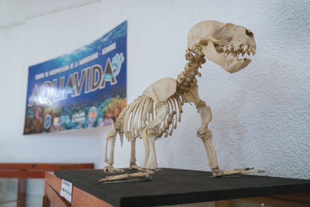 Centro Cultural José Hernández: Patrimonio Histórico invita a recorrer la muestra conjunta del Museo 1923 y Aquavida
