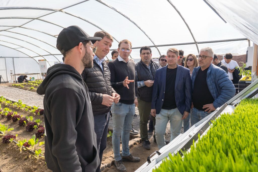ADER incorporó un sistema de hidroponia para producir alimentos y capacitar a la comunidad