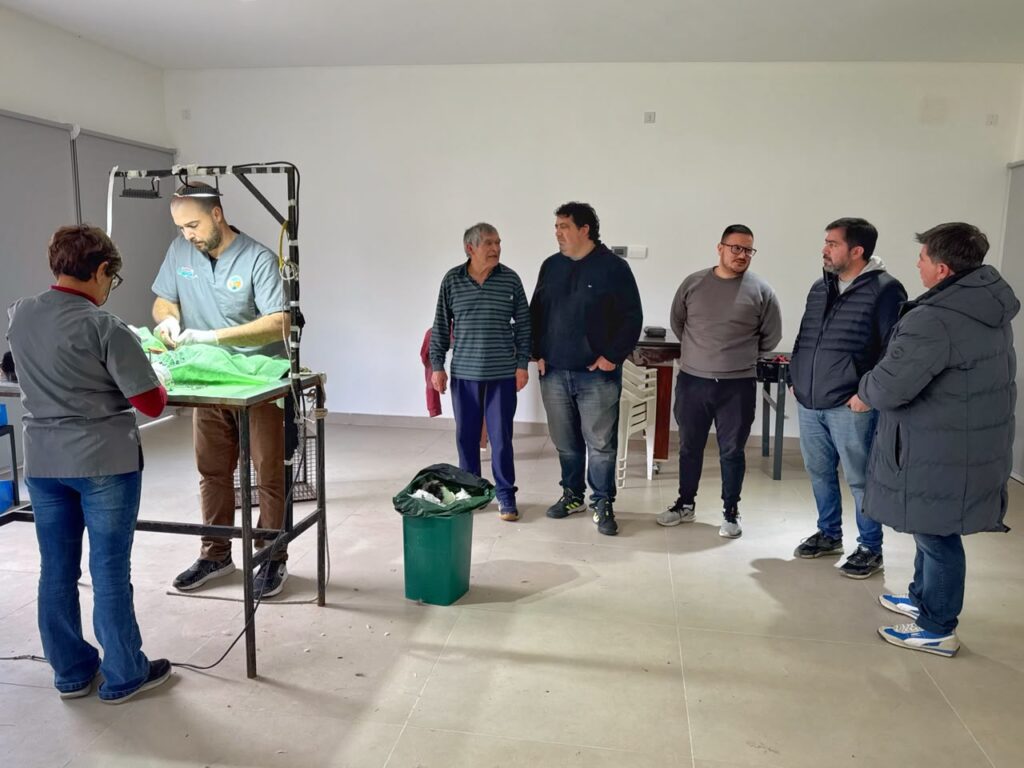 “Ambiente va a tu barrio” realizó castraciones y vacunación gratuita de mascotas en el Rodaj Park