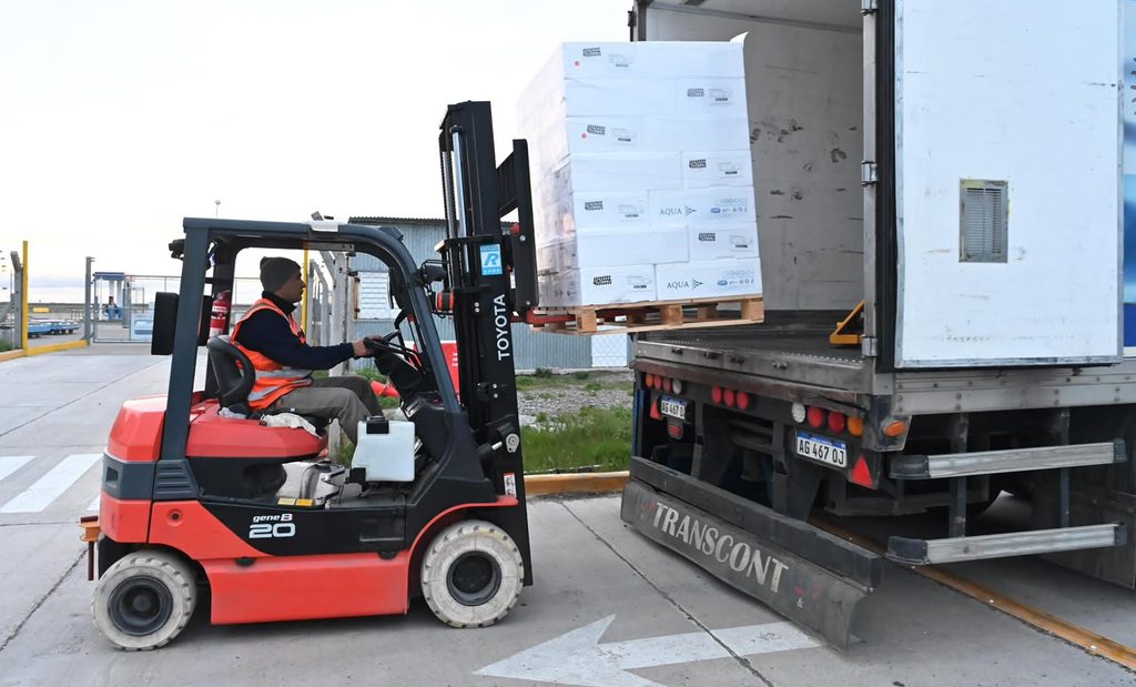 Chubut concretó la primera exportación de salmón vía Trelew y fortalece el perfil logístico de la ciudad