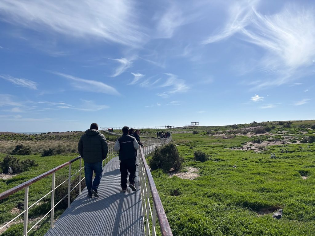 Provincia fortalece la infraestructura turística de Cabo Dos Bahías con un nuevo pórtico de acceso