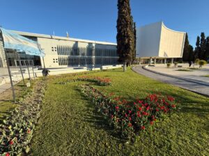 La Legislatura acompaña la temporada de tulipanes en Chubut con una nueva floración en sus jardines 1 La Legislatura acompaña la temporada de tulipanes en Chubut con una nueva floración en sus jardines