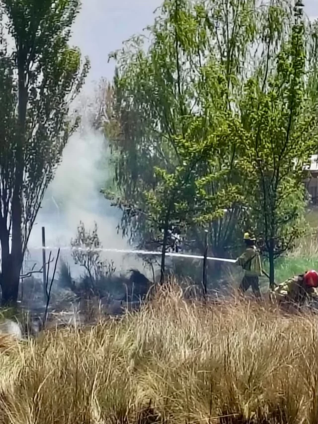 INCENDIO EN EL BARRIO ALDEA CASA BLANCA  Un incendio se registró en el espacio verde del barrio Aldea Casa Blanca y volvió a reavivarse esta mañana. Bomberos de Rawson trabajaron en el lugar y lograron controlar el foco, realizando tareas de enfriamiento para evitar nuevas reactivaciones.  Fernando Ventura, representante de la Junta Vecinal, informó que es el segundo incendio en ocho meses y expresó preocupación por la gran cantidad de maleza y basura acumulada en el sector, que incrementa el riesgo ante el calor y el viento.  Ventura pidió al Municipio que intervenga con tareas de limpieza y mantenimiento del área verde, y recordó a la comunidad evitar quemas que pueden descontrolarse rápidamente.